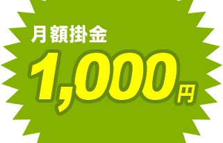 月額掛金1,000円